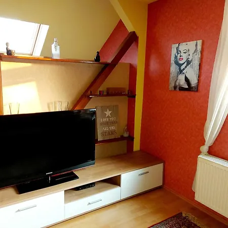 Jamshidi Waren (Mueritz)