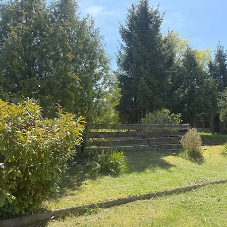 Jamshidi Waren (Mueritz)